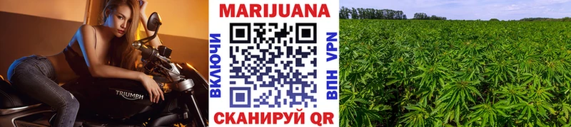 Шишки марихуана сатива  дарк нет наркотические препараты  Устюжна  сколько стоит 